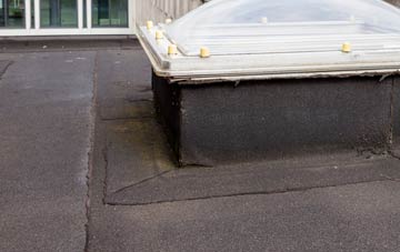 disadvantages of Bow Common flat roofs