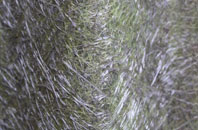 Bow Common fibreglass roof work